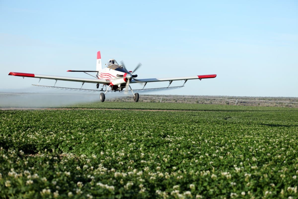 What to Know About PFAS in Pesticides